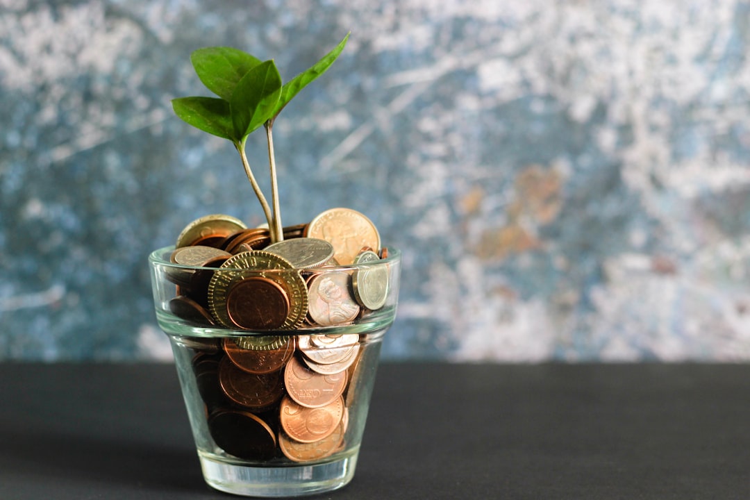 How to Start Investing: A Beginner's Guide to Growing Your Money