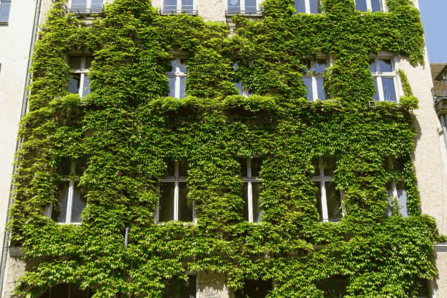 Fachada residencial com brises de madeira e parede verde para controle de iluminação e temperatura.