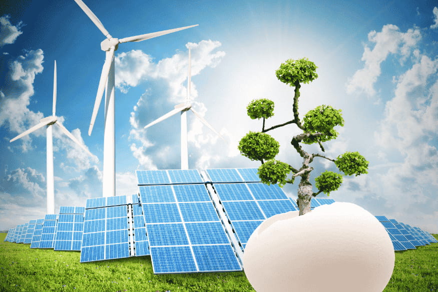 Painéis solares e turbinas eólicas ao fundo, com árvore estilizada em destaque.