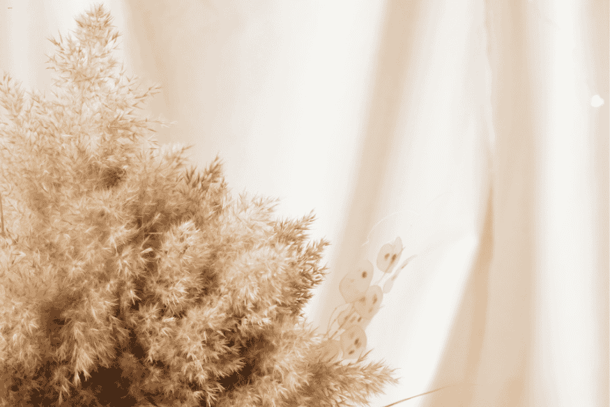 Detalhe de arranjo de capim-dos-pampas para composição boho com foco em texturas naturais.