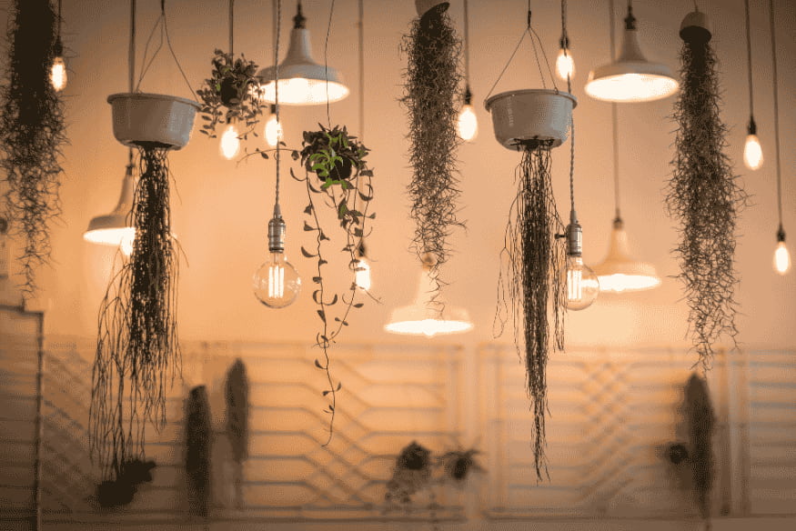 Luminárias pendentes com plantas suspensas integradas à decoração do ambiente.