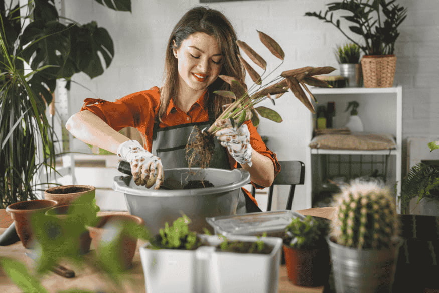 Mulher cuidando de plantas em jardim de inverno interno, usando luvas e vaso grande.