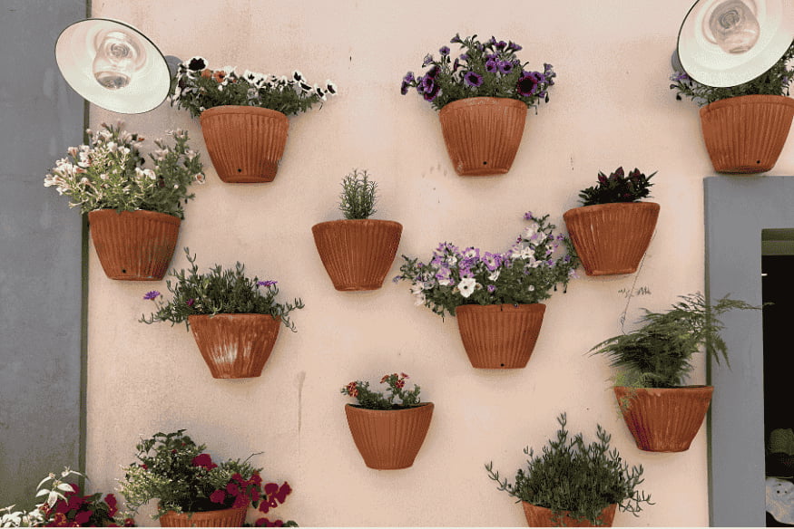 Vasos de parede com plantas e flores coloridas em jardim vertical residencial