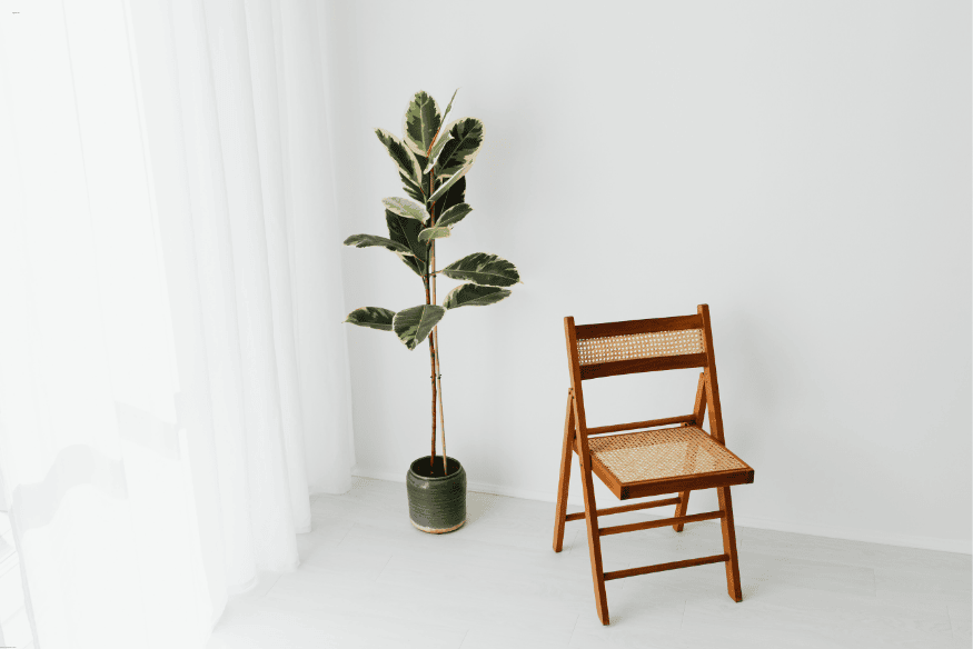 Cadeira de madeira dobrável ao lado de planta em vaso em ambiente minimalista.