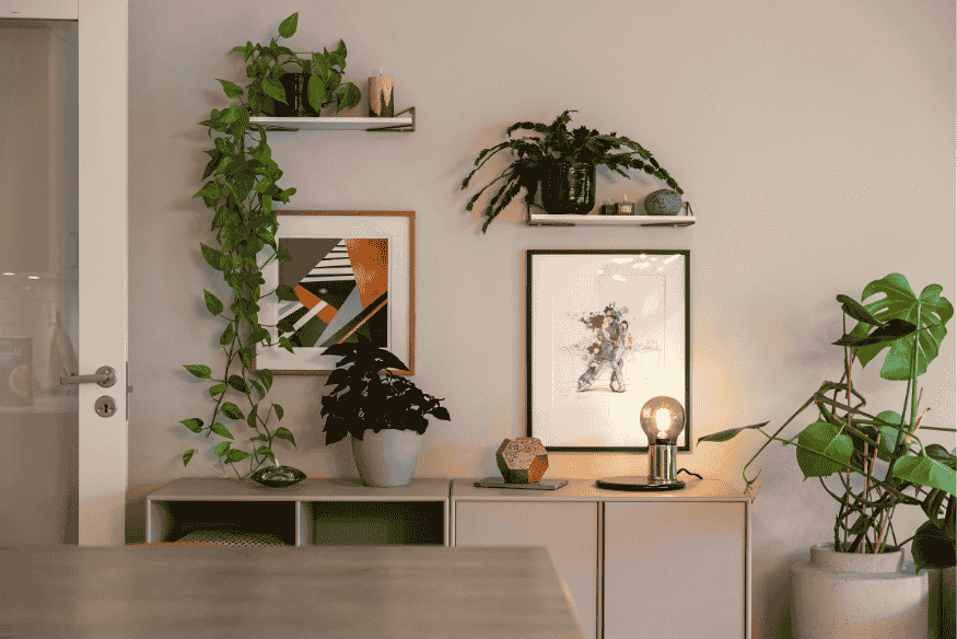 Sala com parede decorada com quadros, prateleiras e plantas de interior.