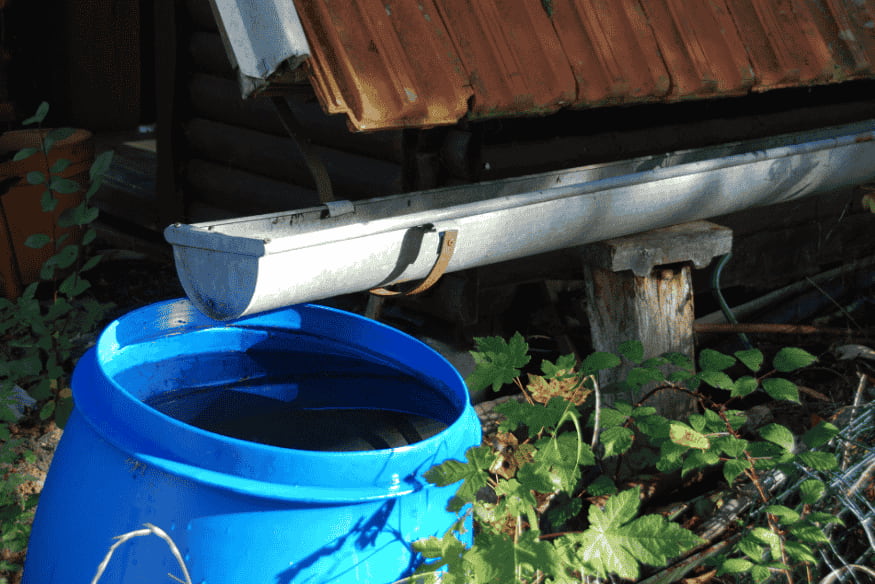 Barril azul posicionado sob calha para coleta de água da chuva em casa simples.