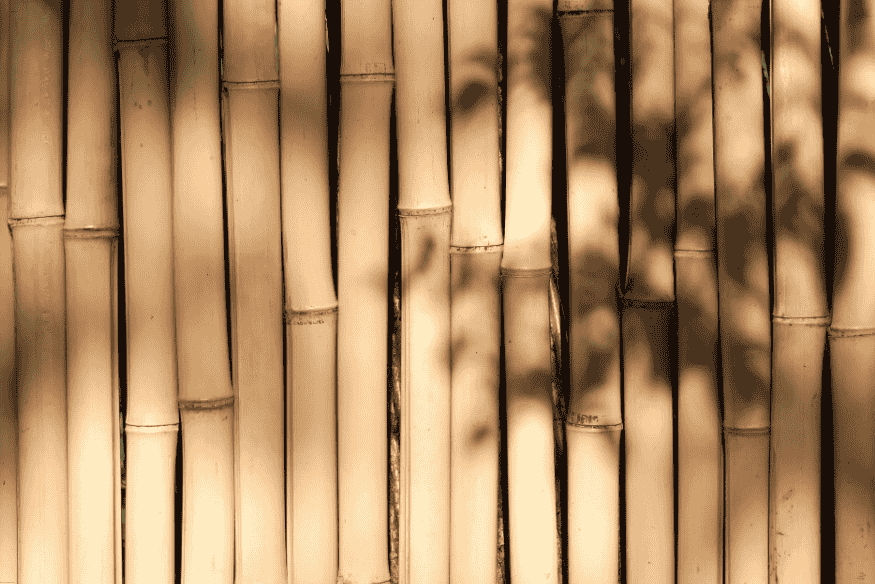 Parede feita com colmos de bambu em tom natural