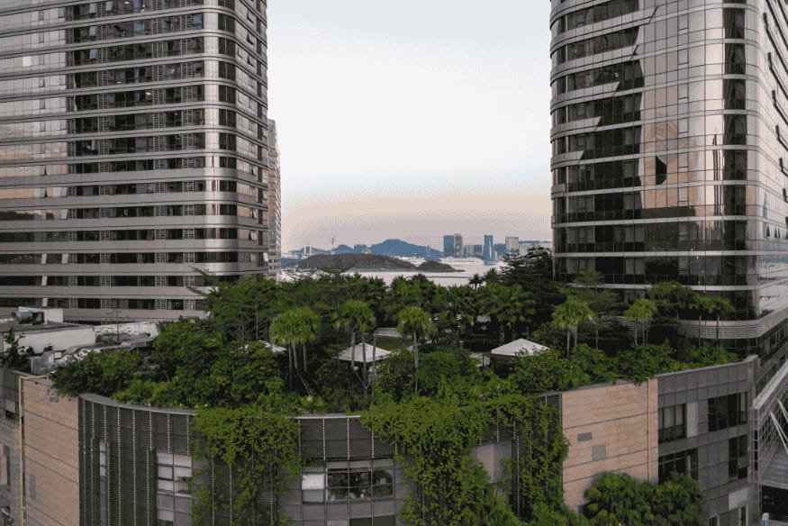 Cobertura verde em prédio comercial moderno com vista para a cidade e integração urbana sustentável.