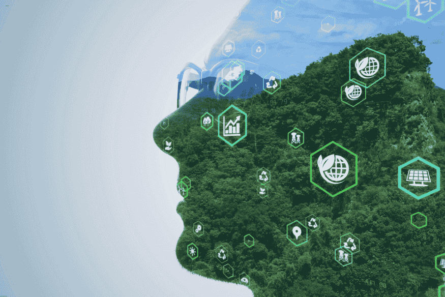 Educação em sustentabilidade: integração entre meio ambiente, inovação e capacitação profissional na construção civil.